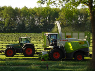 gras en mais inkuilen